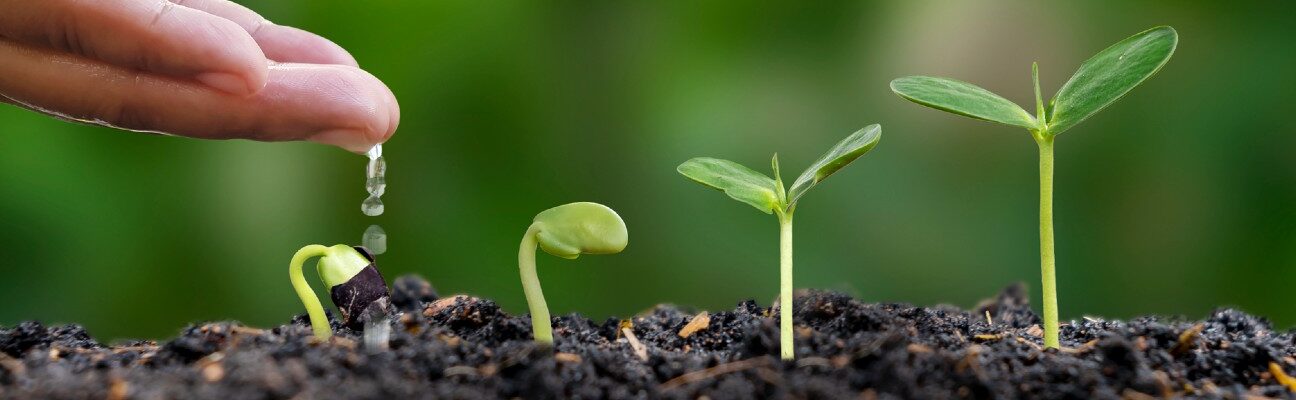 Growth